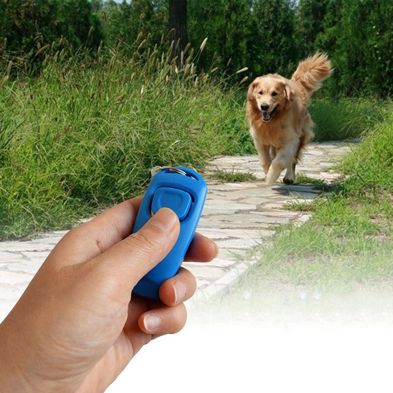 pet-essentials-products-for-pet-comfort-and-wellbeing