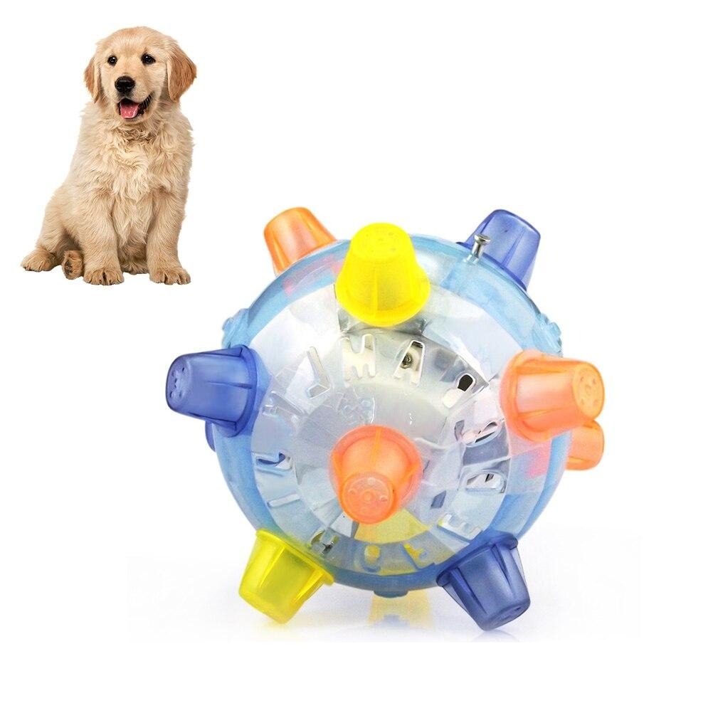 pet-essentials-for-comfort-and-wellbeing-for-your-pet-now
