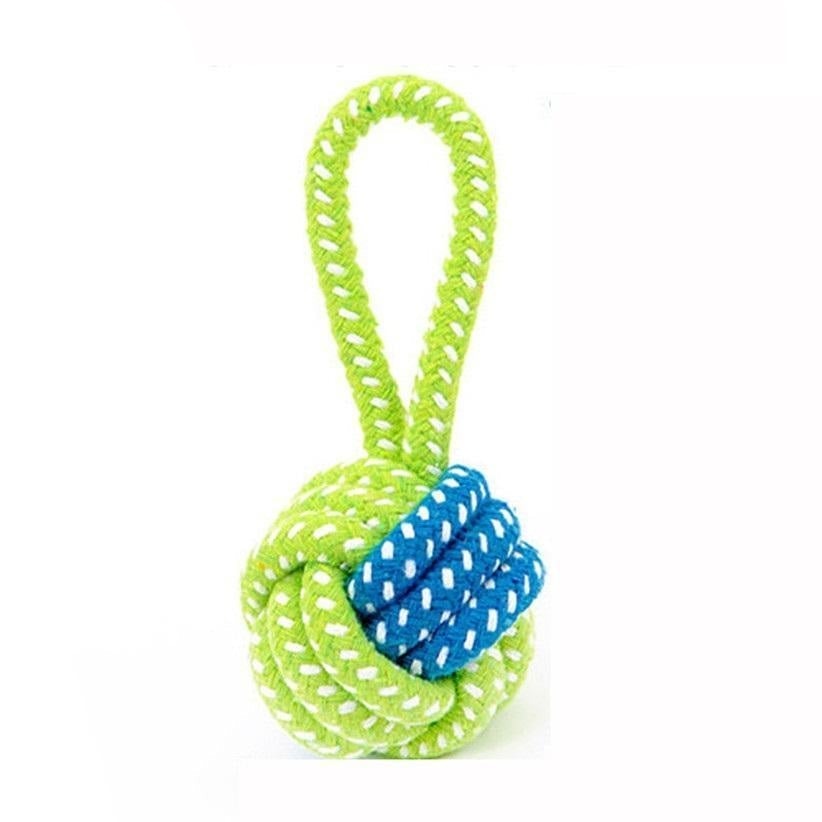 pet-essentials-products-for-your-pet's-comfort-and-wellbeing