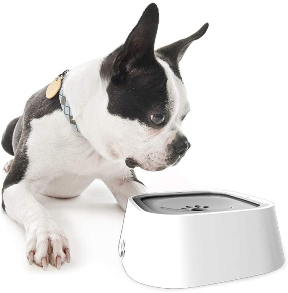 pet-essentials-for-comfort-and-wellbeing-for-your-pet
