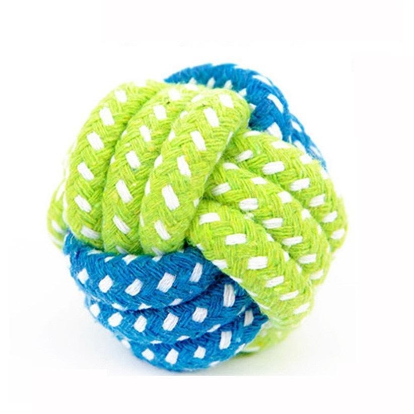 pet-essentials-products-for-your-pet's-comfort-and-wellbeing