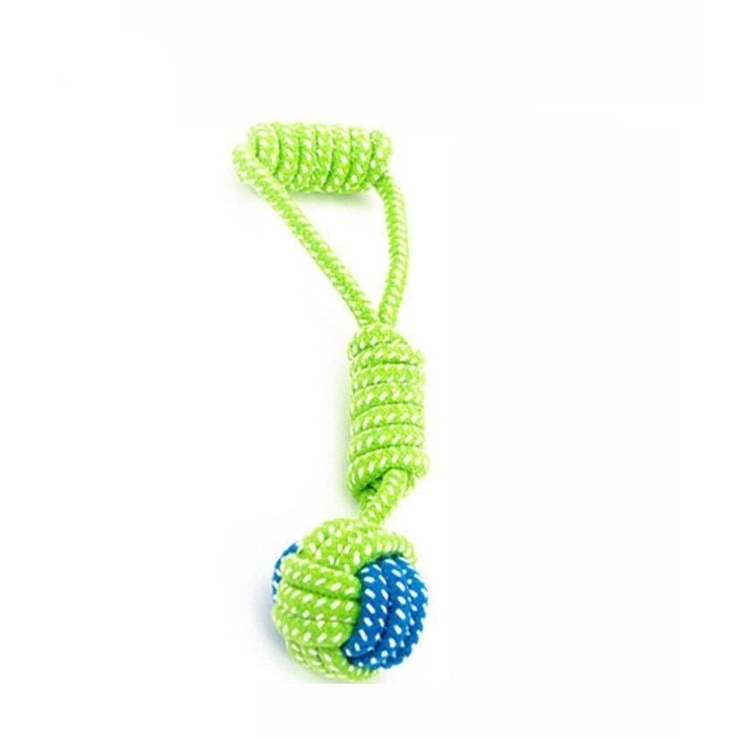 pet-essentials-products-for-your-pet's-comfort-and-wellbeing
