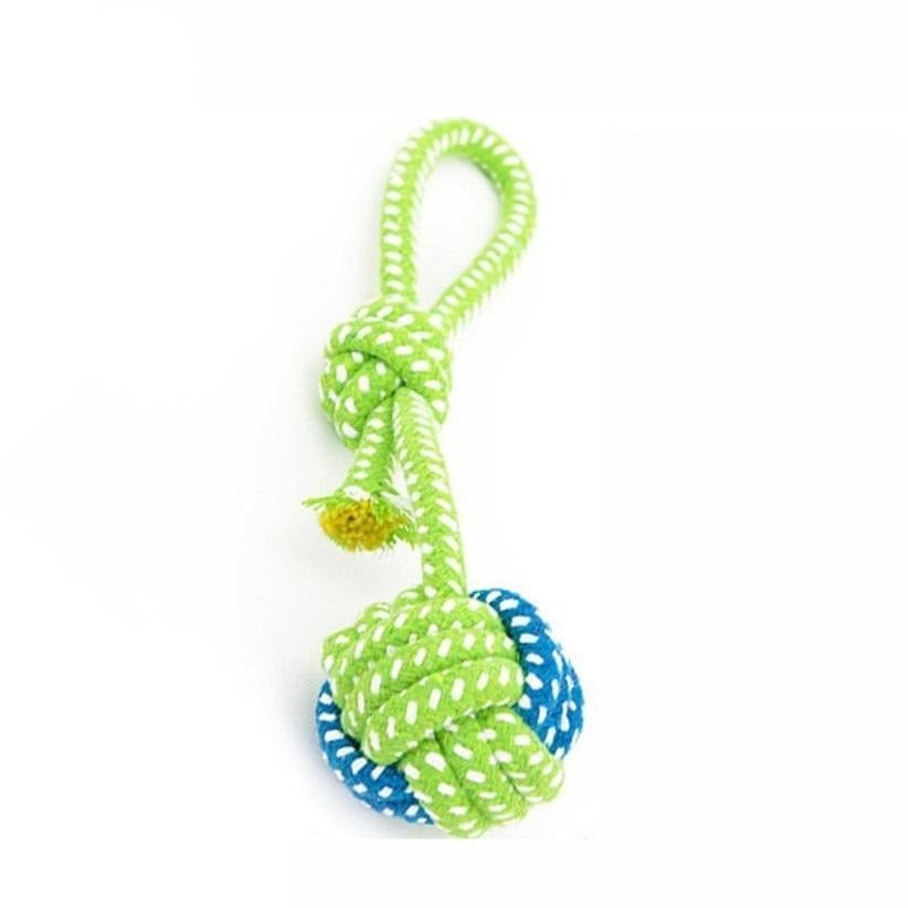 pet-essentials-products-for-your-pet's-comfort-and-wellbeing