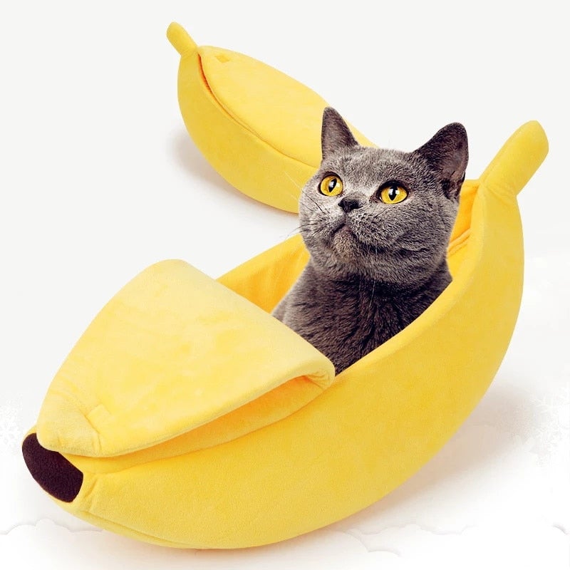 pet-essentials-for-pet-comfort-and-wellbeing-products