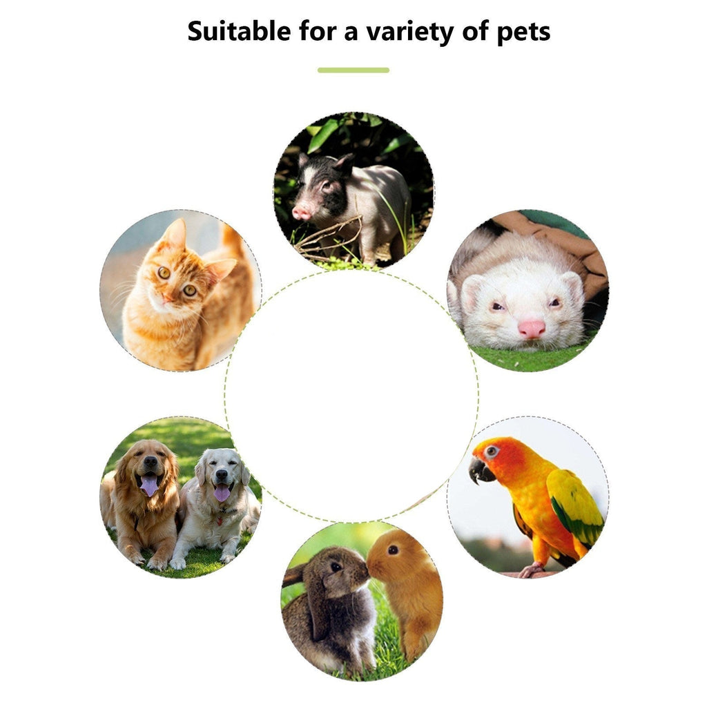 pet-essentials-products-for-pet-comfort-and-wellbeing