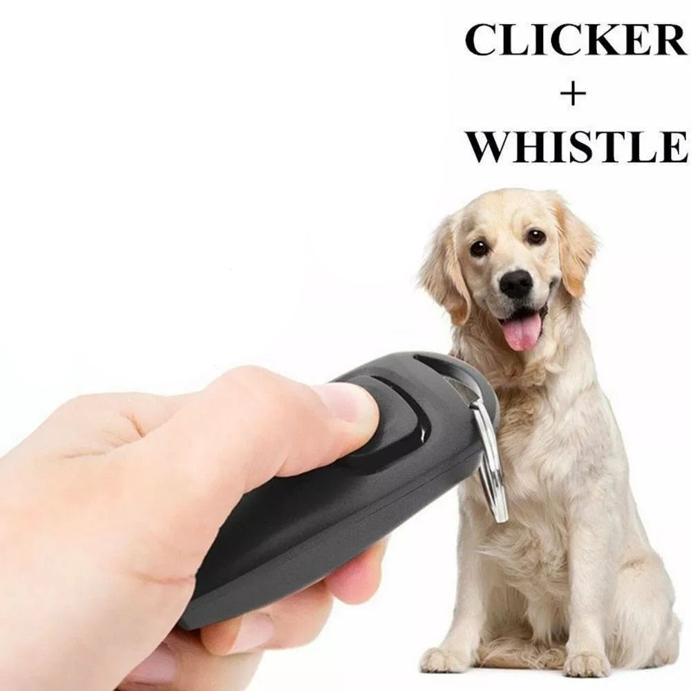 pet-essentials-products-for-pet-comfort-and-wellbeing