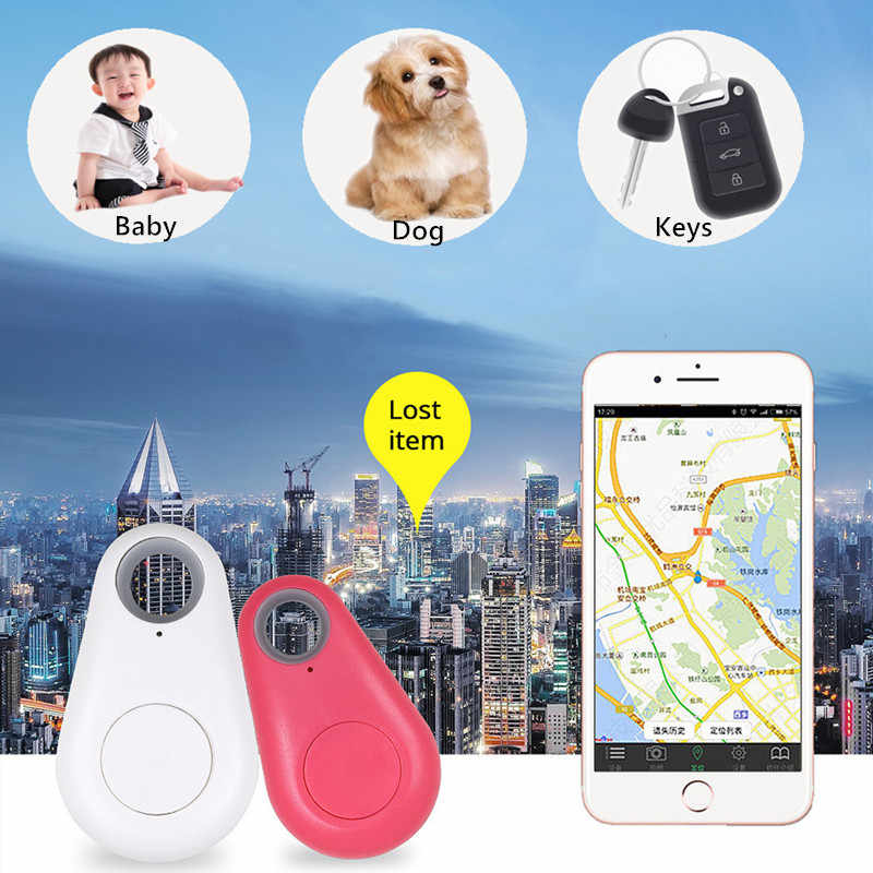 pet-essentials-for-your-pet-comfort-and-wellbeing