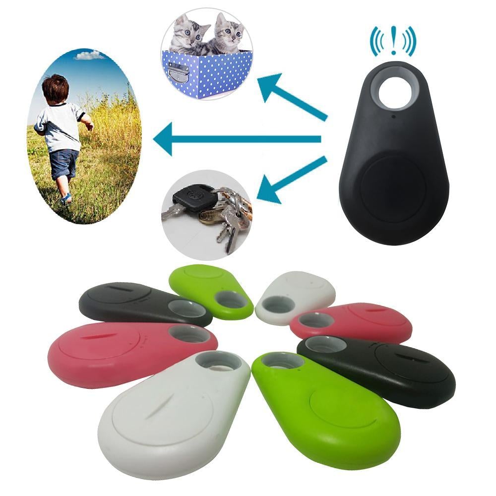 pet-essentials-for-your-pet-comfort-and-wellbeing